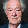 Michael Gambon as Dr. Fredericks