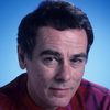 Dean Stockwell as Salesman Stig