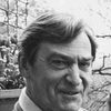 Patrick Troughton as Player King
