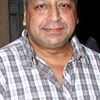 Sudhir Pandey as D.N Pant