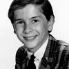 Pat Cardi as Bobby