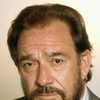Ugo Tognazzi as Domingo