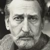 Kay E. Kuter as Dr. Wainwright