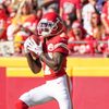 Mecole Hardman Jr. as self