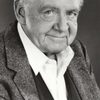 Dick O'Neill as Judge