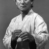 Bong Soo Han as Master Han