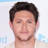 Niall Horan as Self