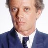 Michael Sarrazin as Pete Robbins