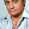 Robert Vaughn as Edward Bolt