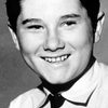 Brian Corcoran as Boy (uncredited)
