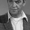 Michael Ross as Air Force Sergeant - MATS Desk Clerk (uncredited)