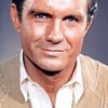 Cliff Robertson as Joe Cantwell
