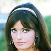 Marisa Mell as Carlotta Gavina