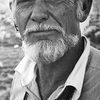 Sam Peckinpah as Dr. Sam Collins