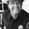 Ron Masak as Julian Disanto