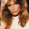 Ann Turkel as Susan