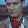 Nando Angelini