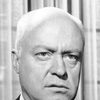 Larry Gates as Major Avery