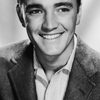 Robert Walker Jr. as Mike