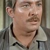 Steve Ihnat as Ross Duellan
