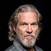 Jeff Bridges as Frank / Elwood (voice)