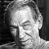 Hank Patterson as Ellis