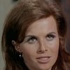 Lynn Loring