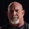 Bill Goldberg as Hawk