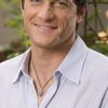 David Conrad as Dr. Phil Reed