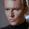 Robert Sampson as Noah Thornton