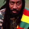 Bunny Wailer as Self