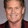 David Hasselhoff as David Hasselhoff