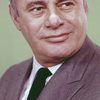 Martin Balsam as Captain Steffanelli
