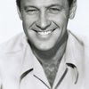 William Holden as David Larrabee
