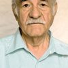 Saeed Poursamimi as The Father