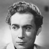 Patrick Holt as Haller