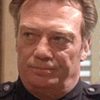 James Jeter as Precinct Captain