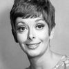 Monica Evans as Maid Marian - A Vixen (voice)