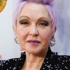 Cyndi Lauper as Self