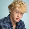 Austin A.J. Abell as Timmy