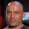 Joe Rogan as Self - Guest