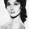 Sylvia Lewis