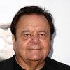 Paul Sorvino as Roy Basehart