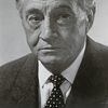 Paul Fix as Joe