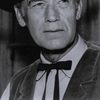 Stuart Randall as Walt Walters