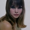 Jean Shrimpton as Vanessa Ritchie