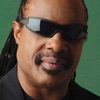 Stevie Wonder as Self (archive footage)