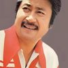 Wang Hsieh as Wan Pengwang