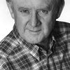 Niall Toibin as Joe