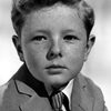 Jimmy Hunt as William Gilbreth (uncredited)